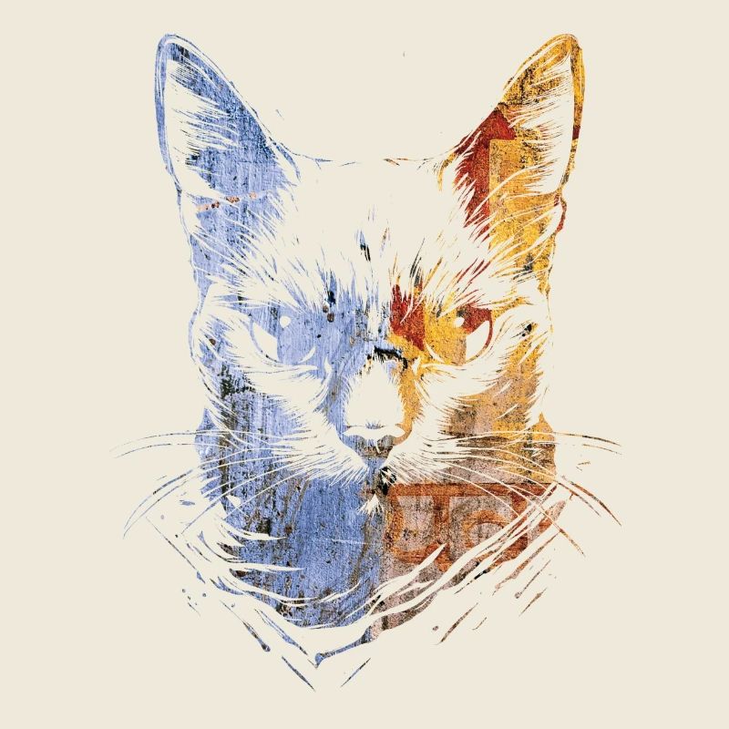 Bunte Katzen