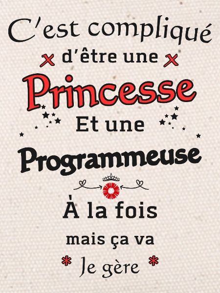 Princesse Programmeuse