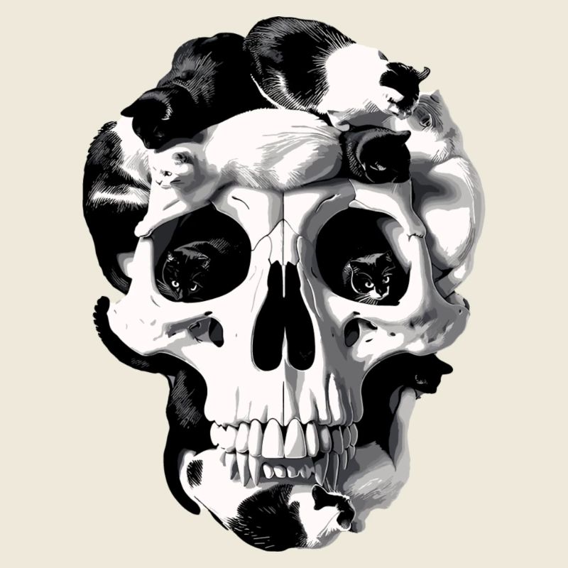 Catskull