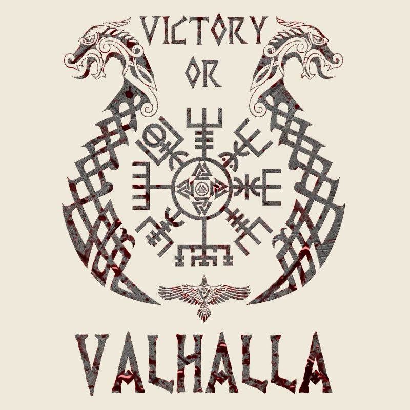 Vikings norden valhalla suède scandinavia flaga
