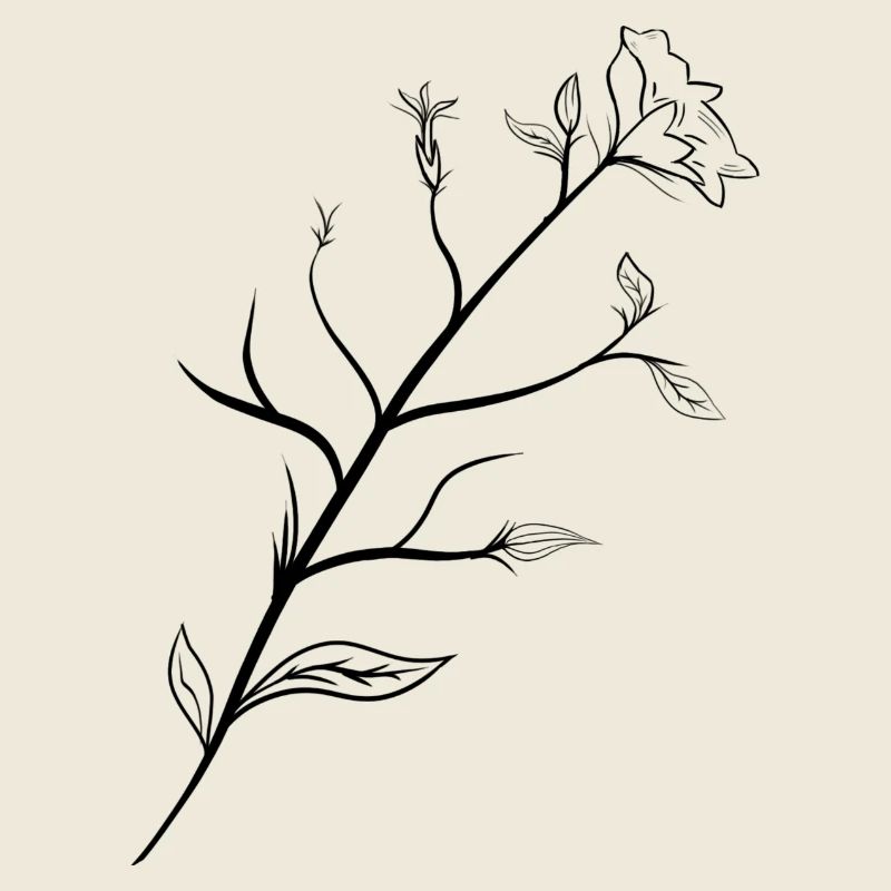 Delicate Flower