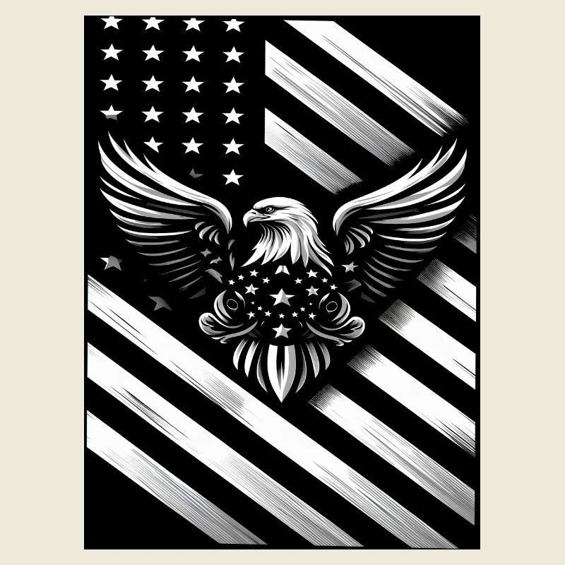White and black US flag
