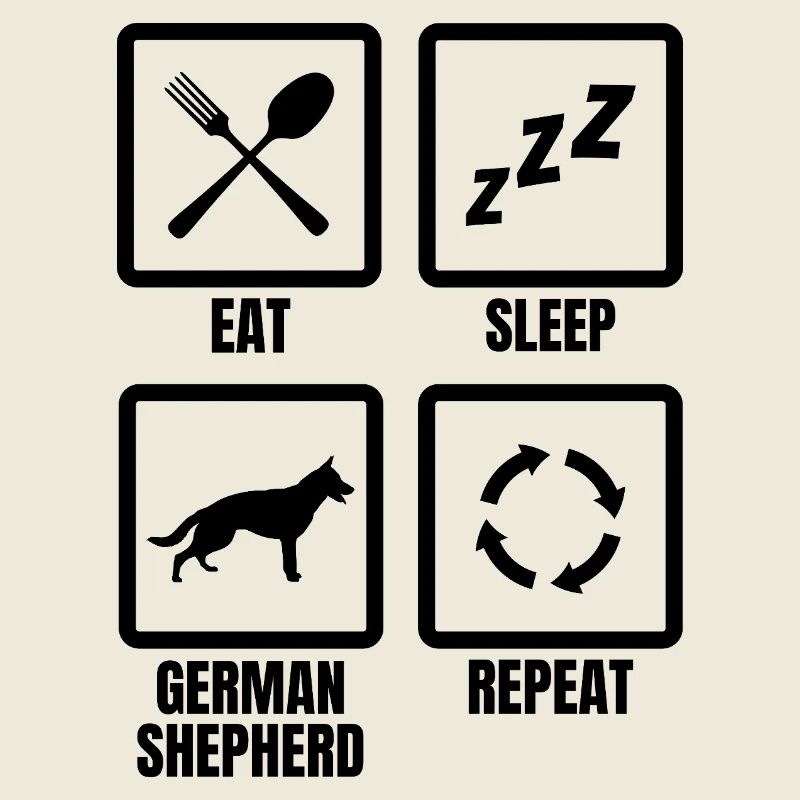 Deutscher Schäferhund Tagesablauf