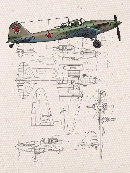 IL-2
