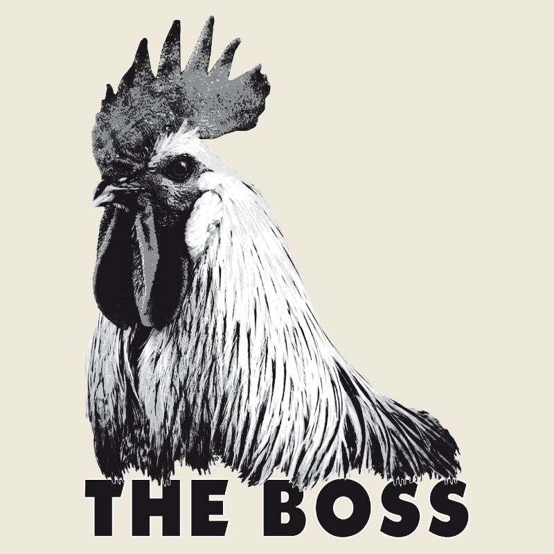Coq, le patron