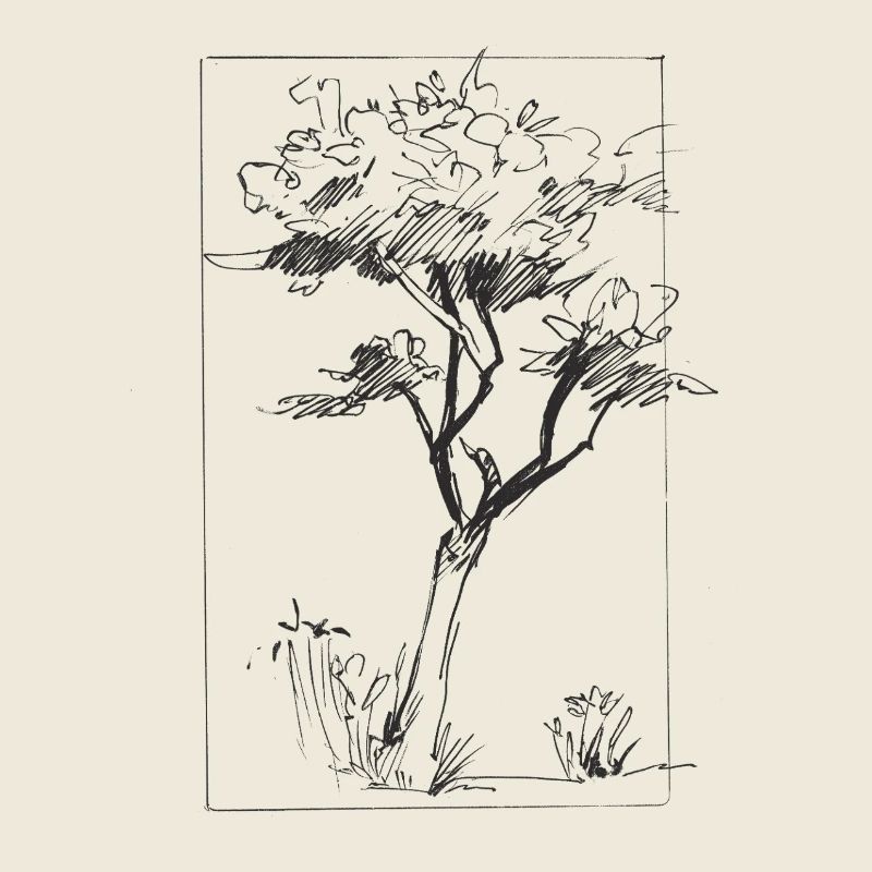 Tree sketch