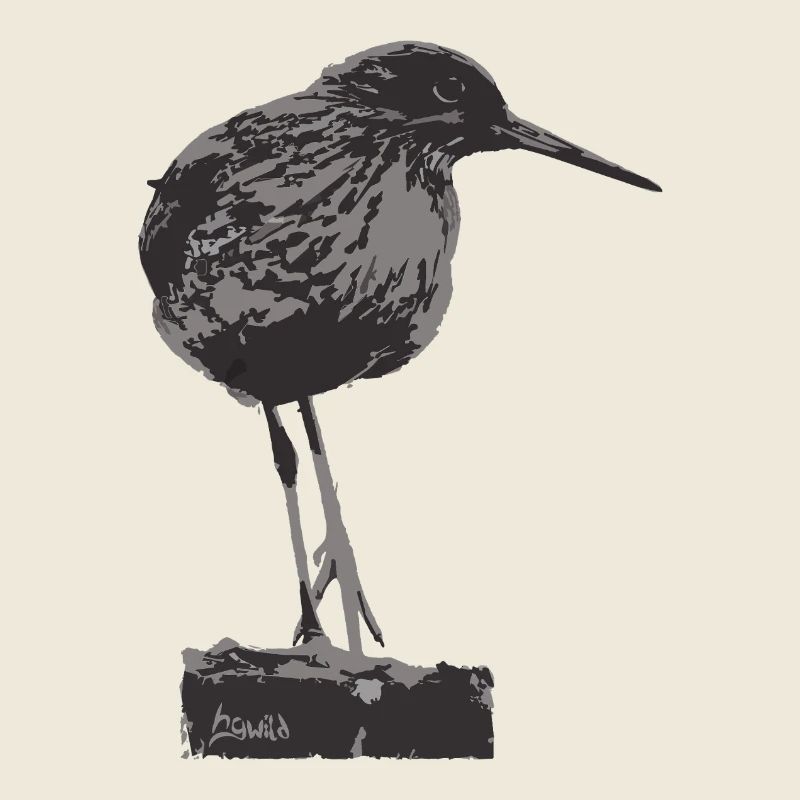Rotschenkel - Monochrome Vogel Silhouette