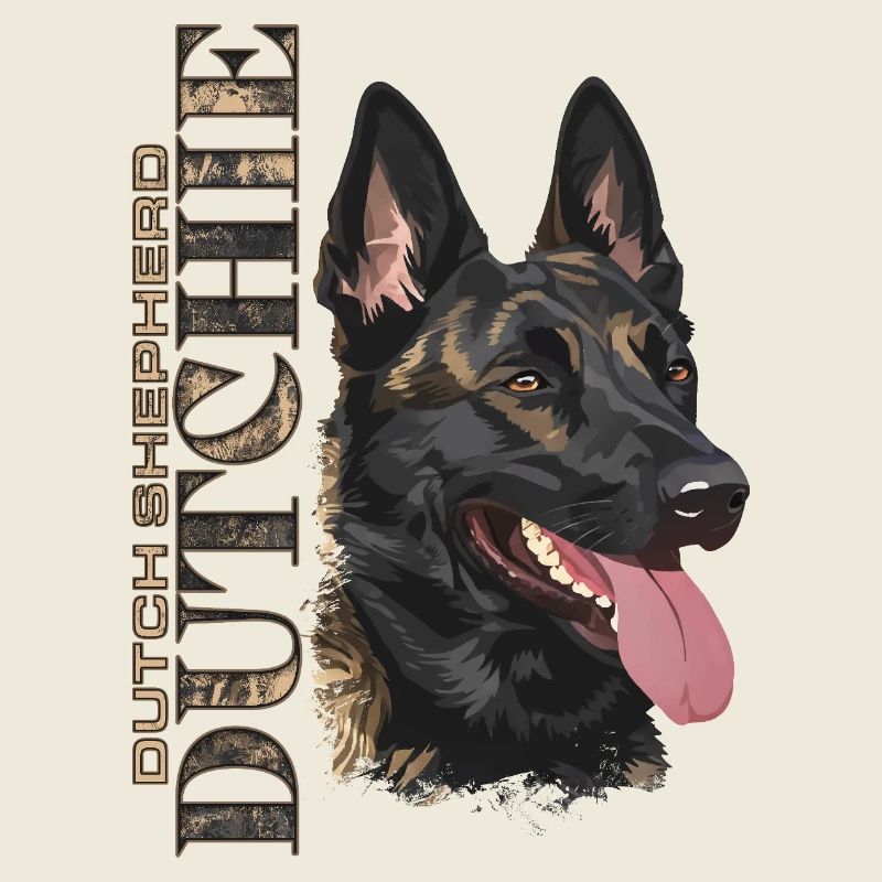 Dutchie - Holländischer Schäferhund