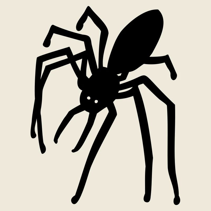 spider