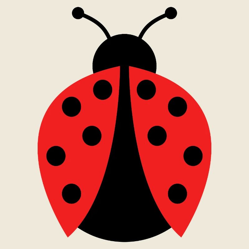 ladybug