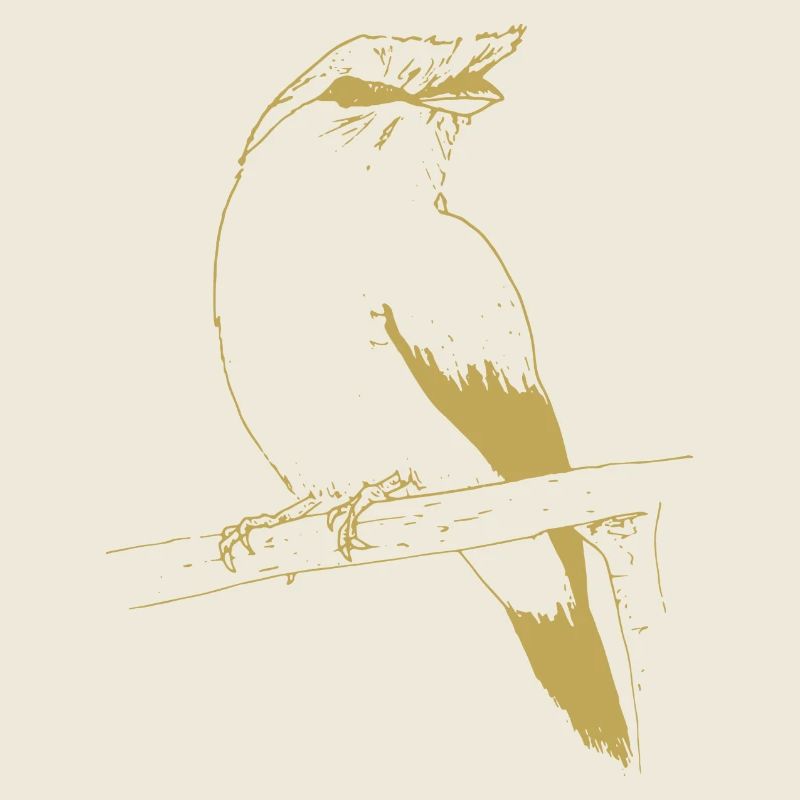 Illustrierte Designs mit Vogel