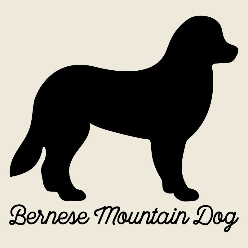 Bouvier bernois