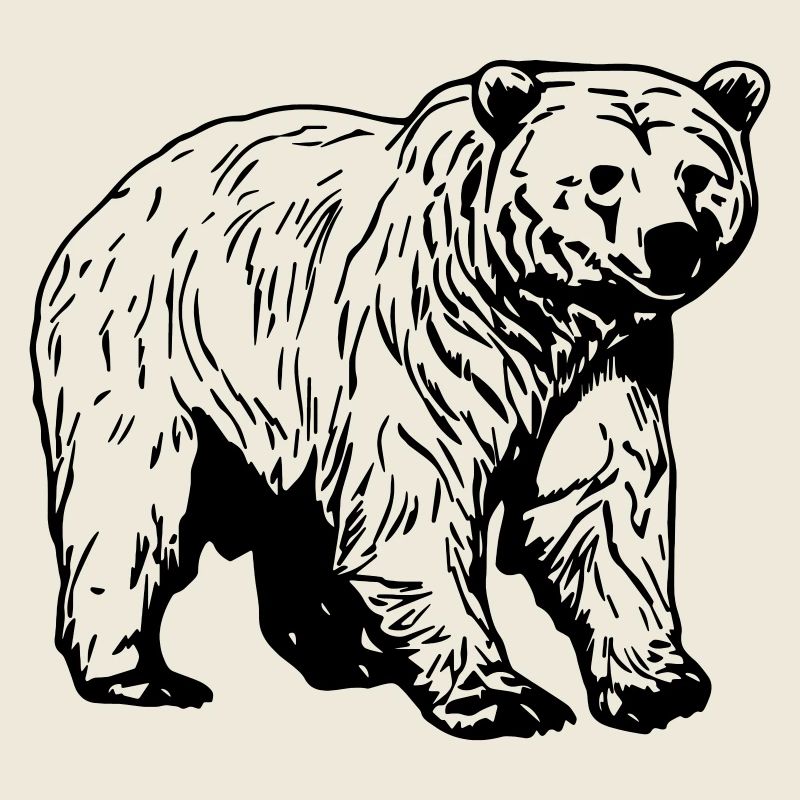 Bär