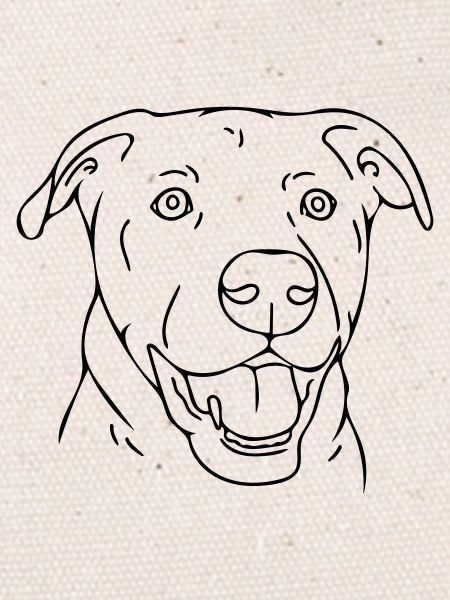chien