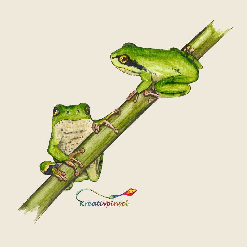 Tree frog