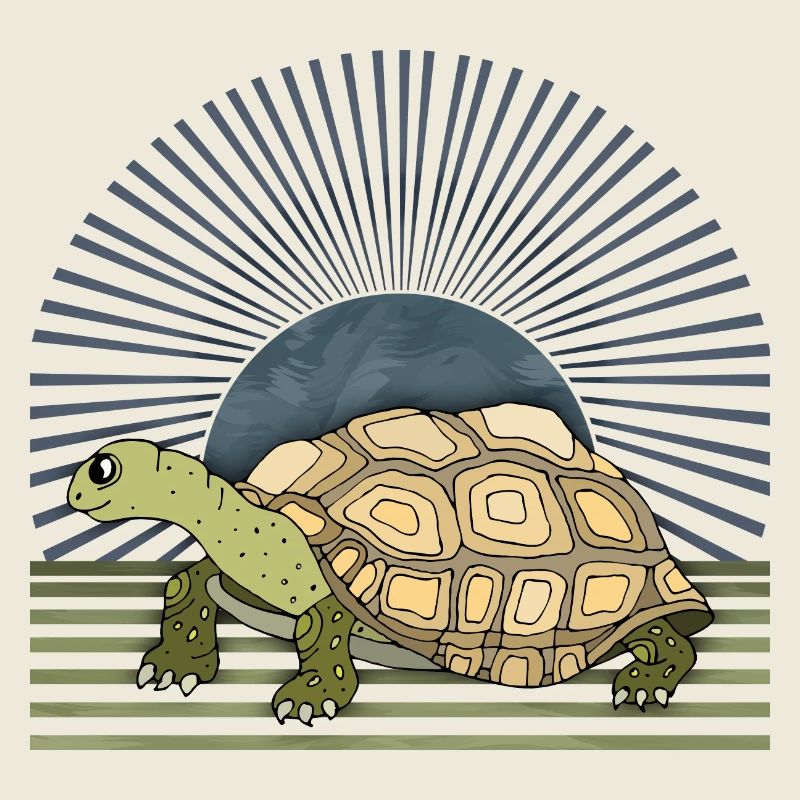 Tortoise