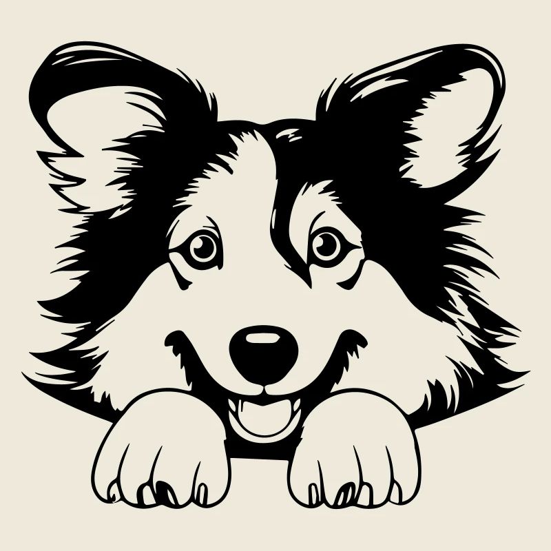 Collie