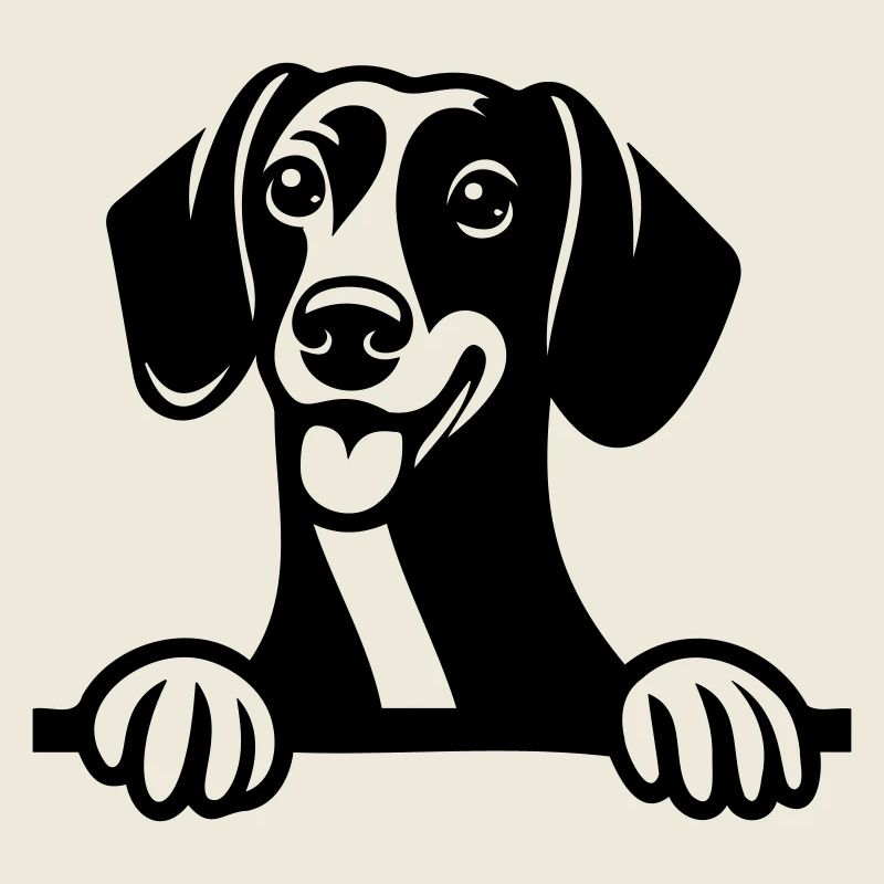 Dachshund