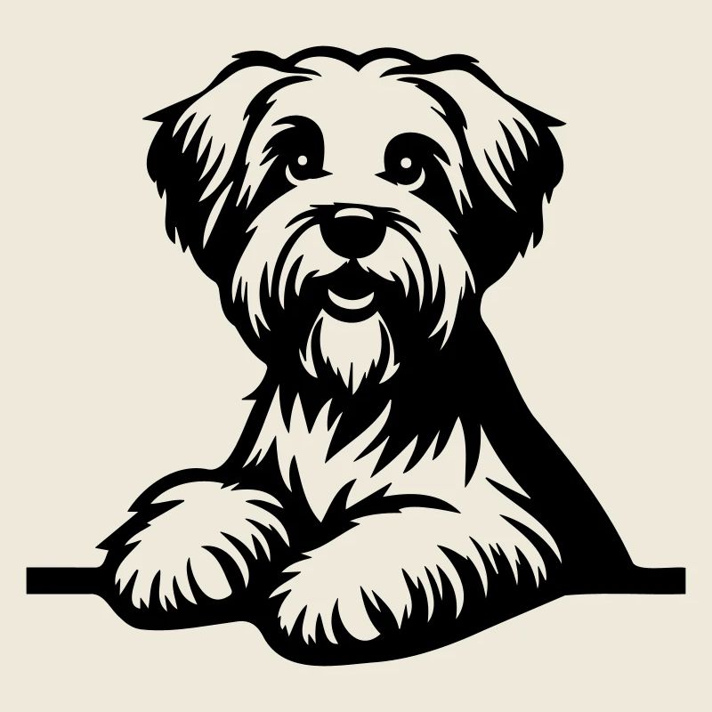 Dandie Dinmont Terrier