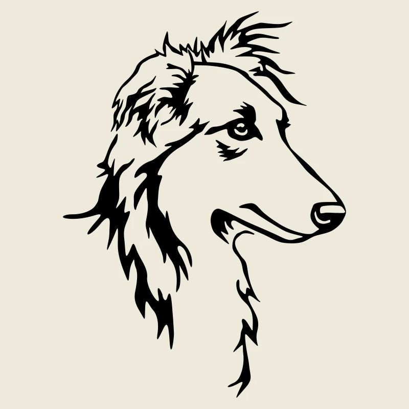 Long hair whippet head