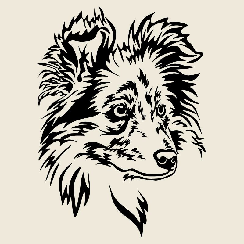 Sheltie Kopf