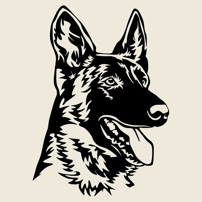 Hollandse Herder Kopf
