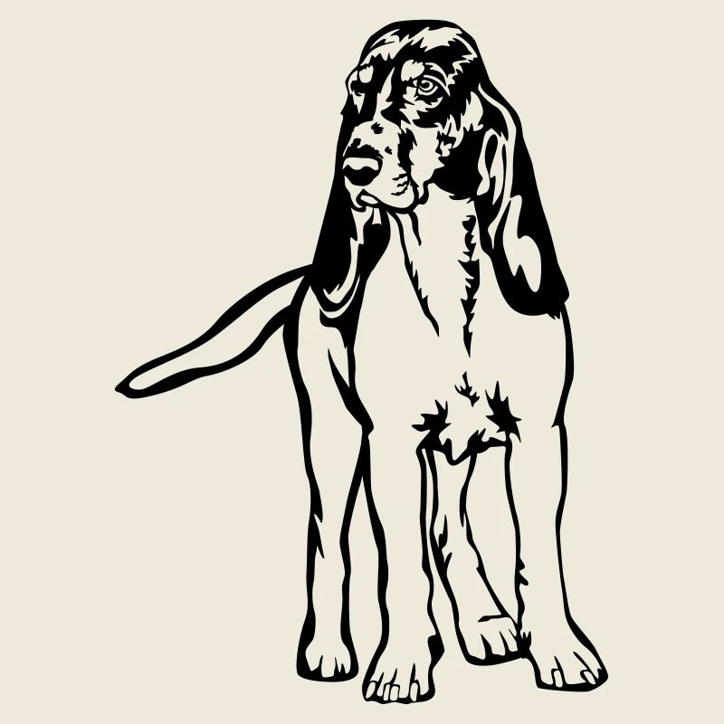 Chien de course bernois