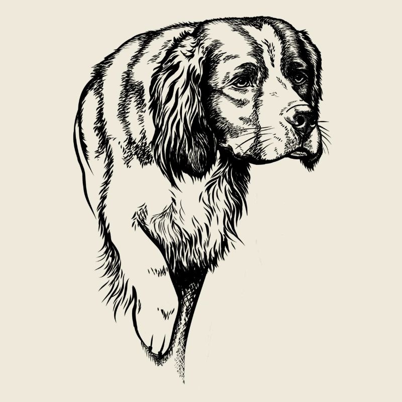 IRW Setter vorstehend