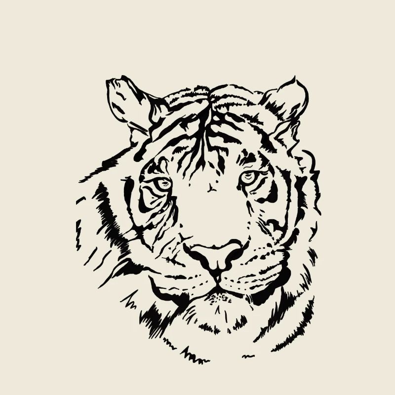 Tigre dessiné à la main