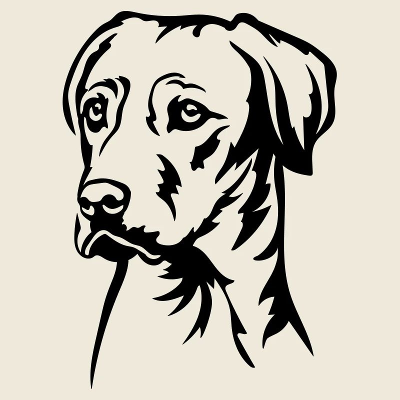 Rhodesian Ridgeback Head