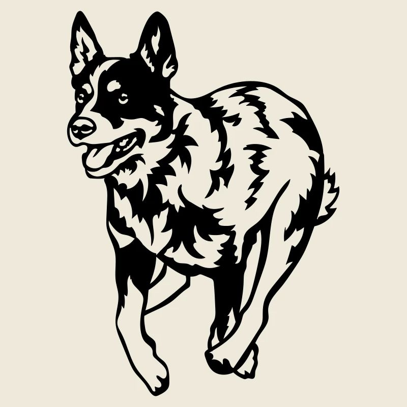 Australian Cattle Dog