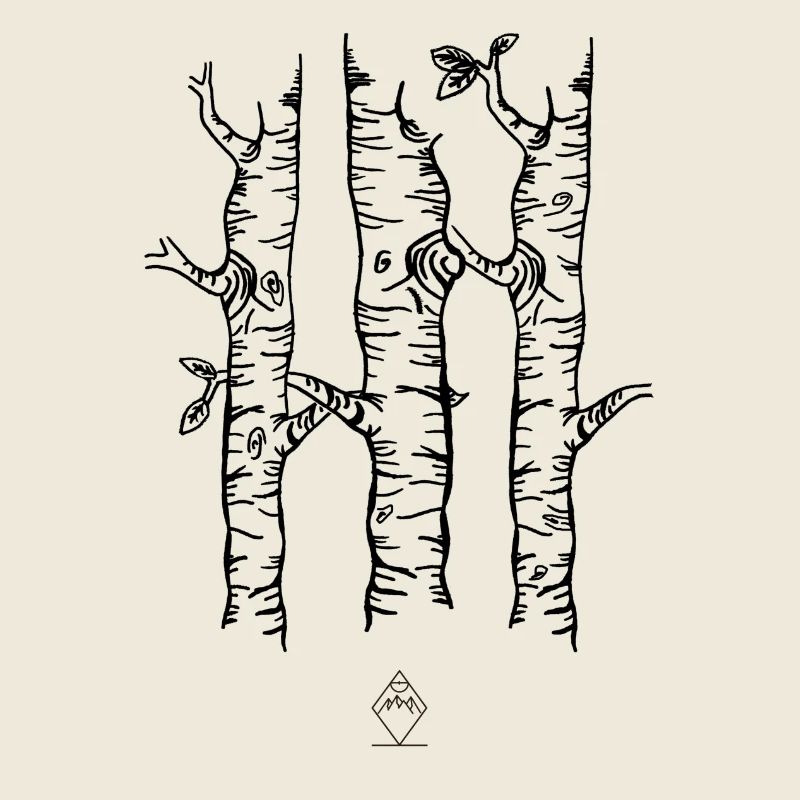 Birken - Schwarz