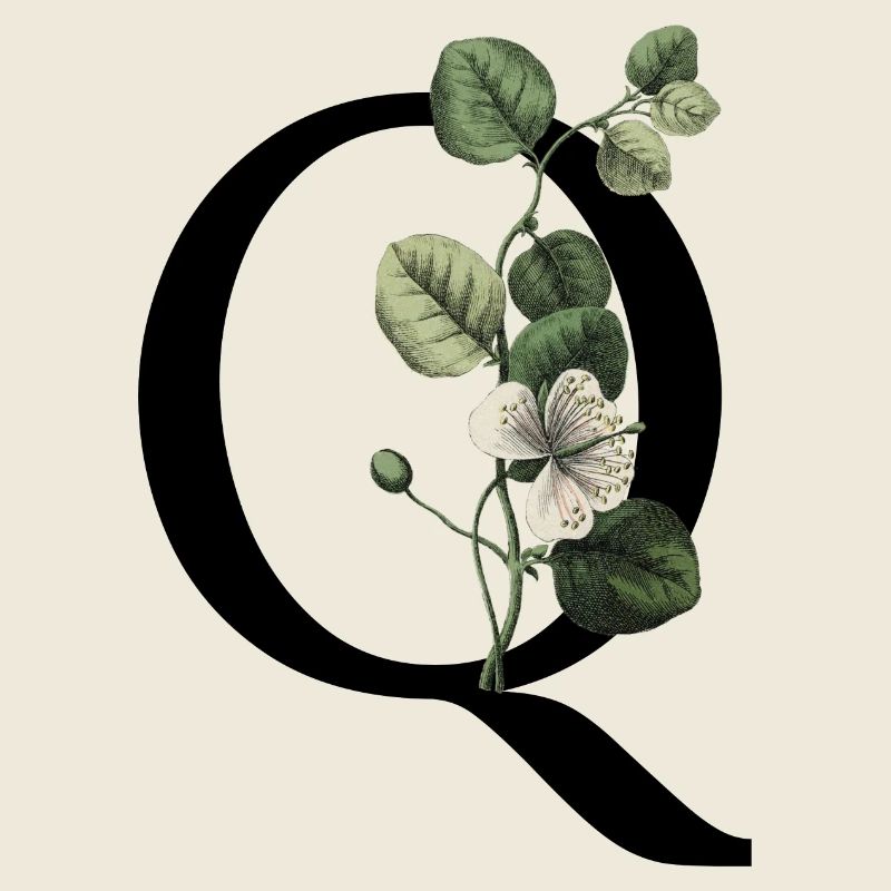Buchstabe Q Botanisch Grün