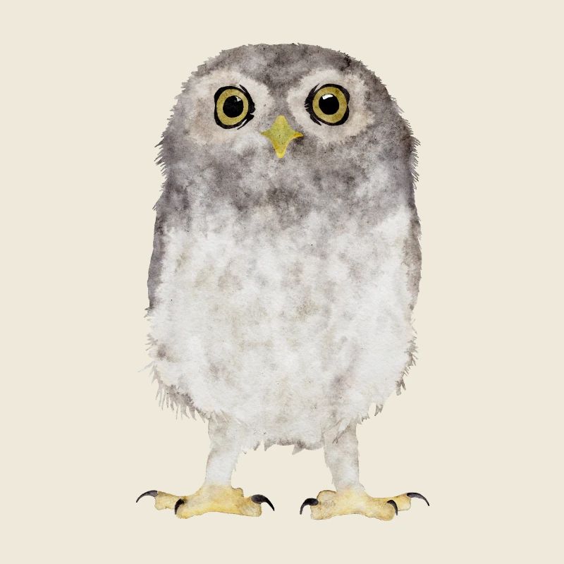 Hibou