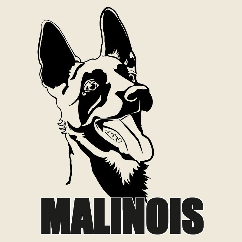 Belgischer Malinois Belgischer Malinois