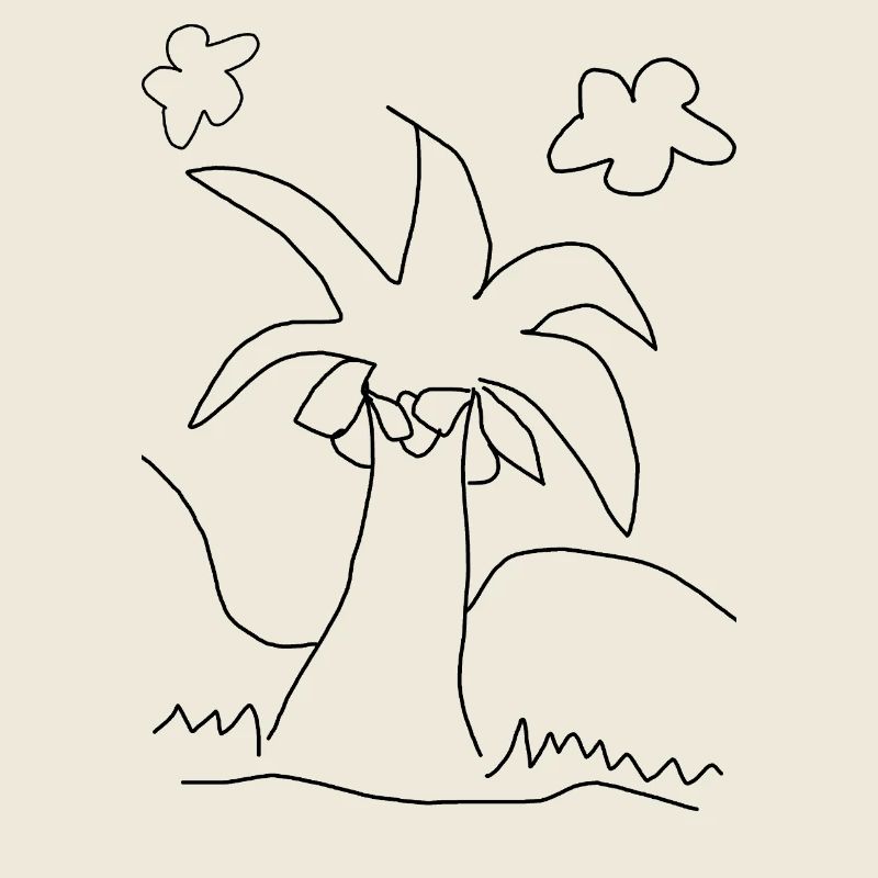 cocotier
