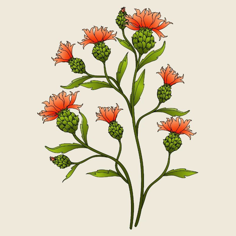 Blumen
