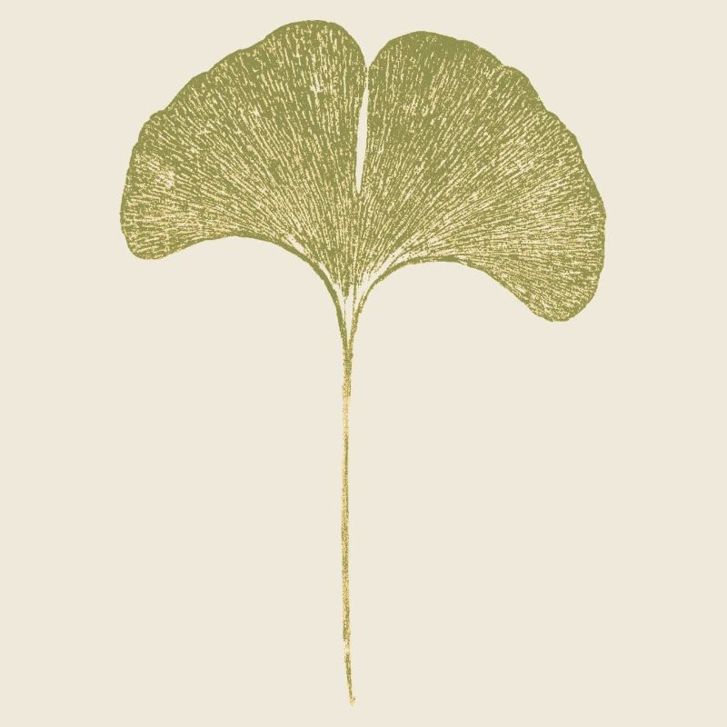 Gingko Blatt