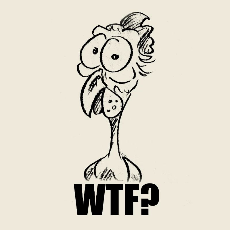 WTF? Chicken Hühnerkopf - Lustiges Comic Meme
