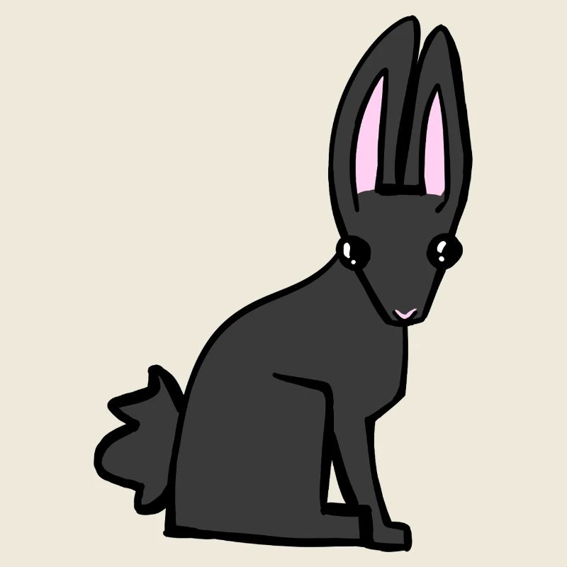 Lapin noir