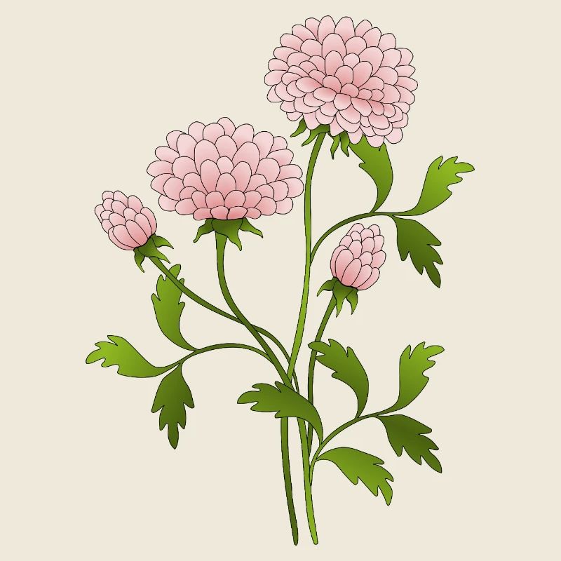 Fleur