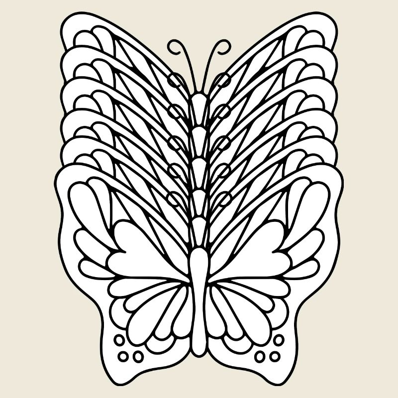 Effet papillon