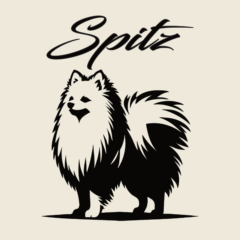 Spitz Design – The Charming Whirlwind