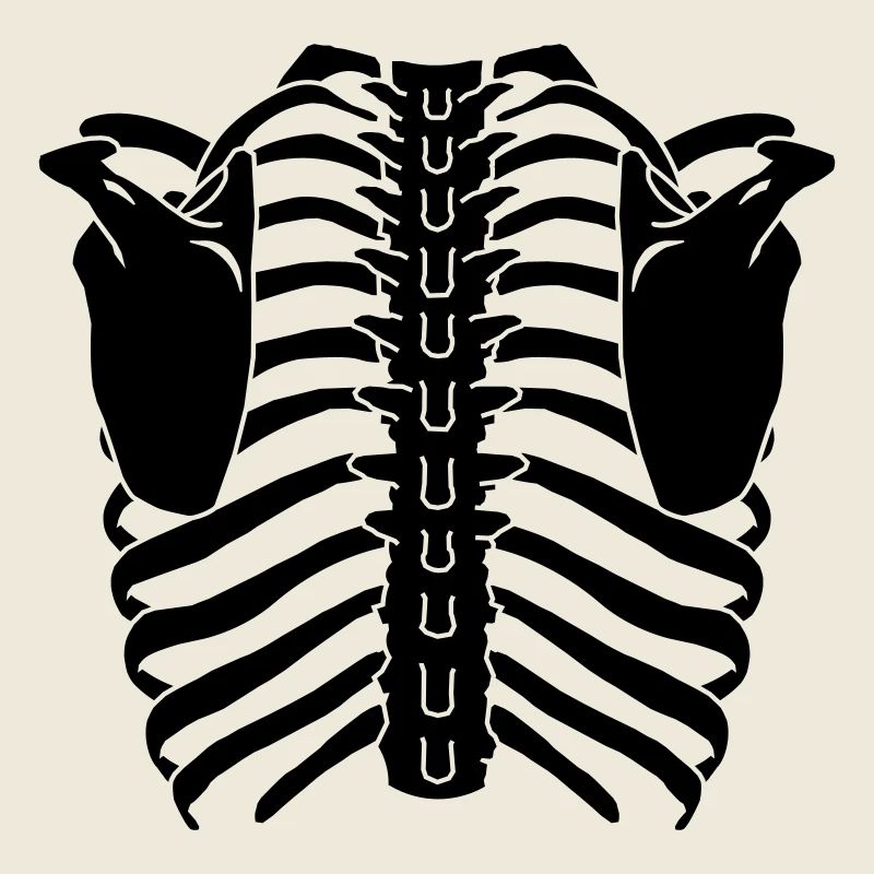 Ribcage (Back side)