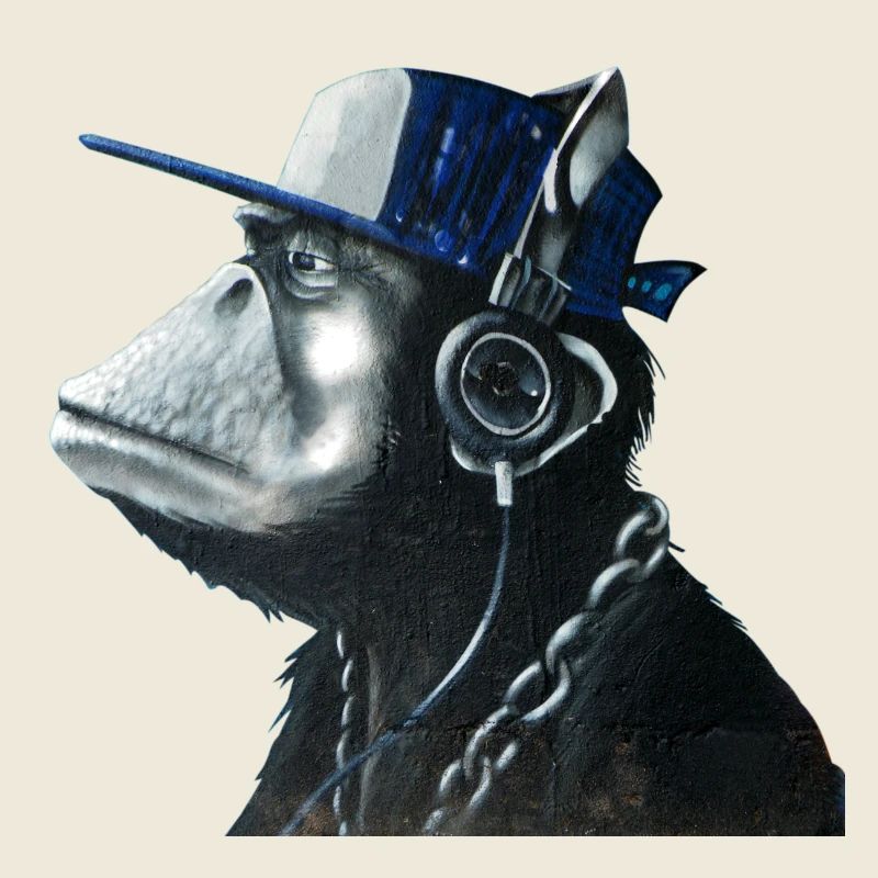 Monkey graffiti by CustomStyle