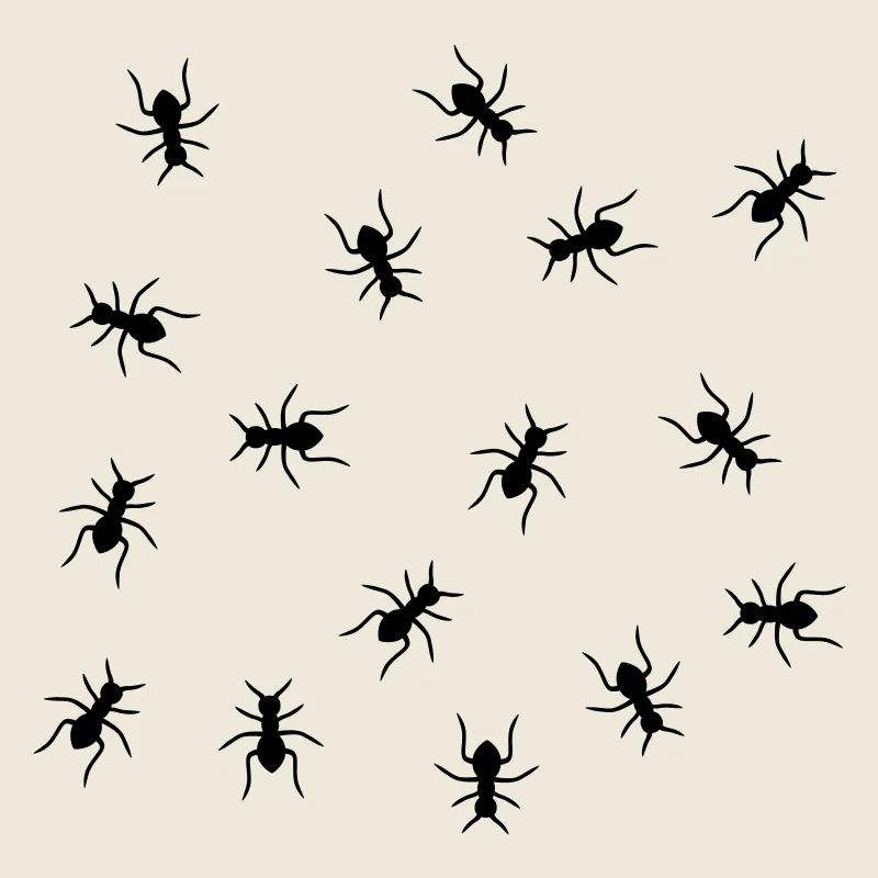Ants Design
