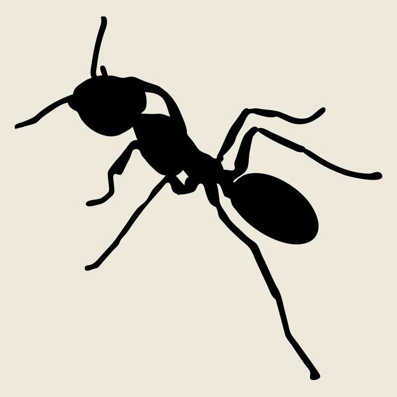 ant