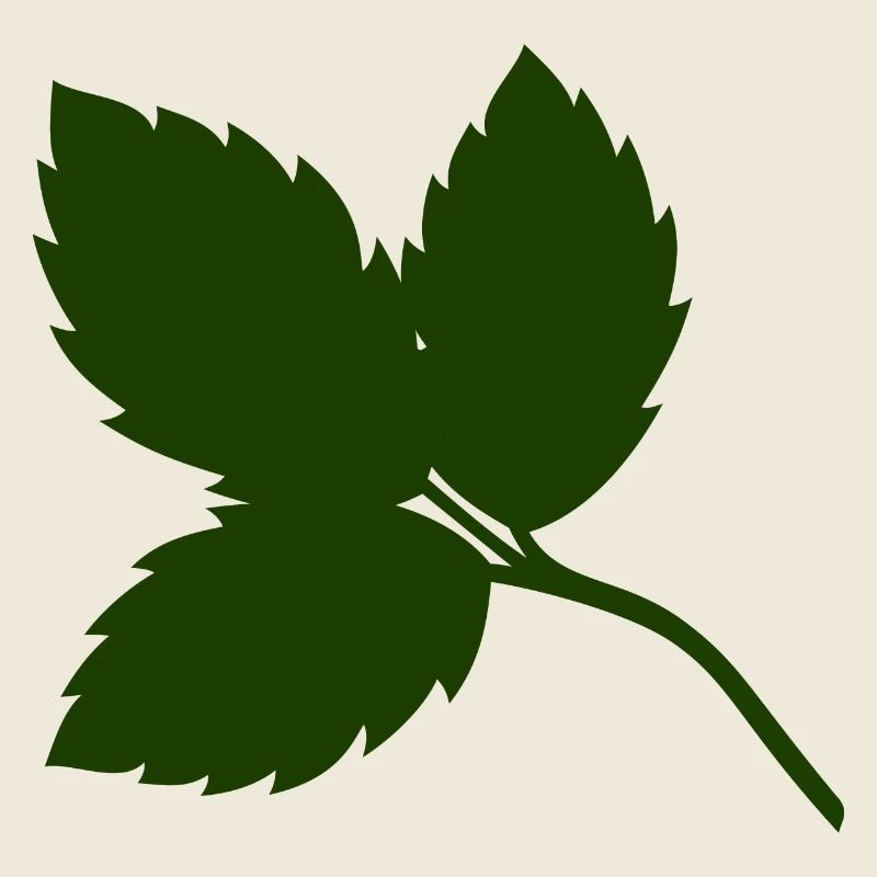 Rosenblätter 2