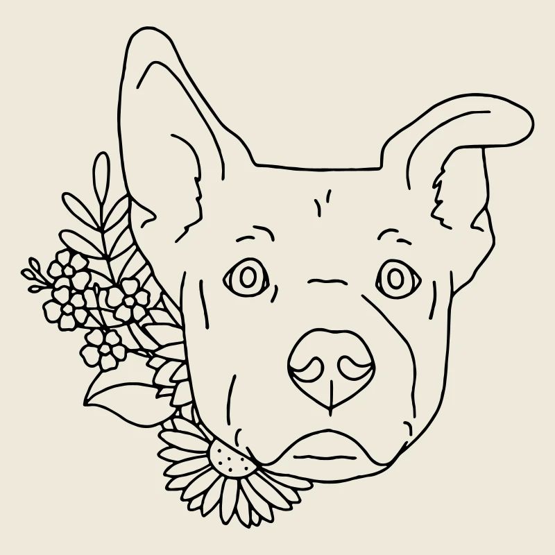 chien
