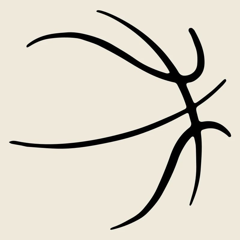 Basket-ball 33